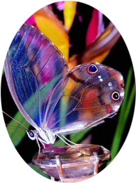 타원형 이미지 만들기