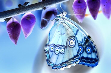 최종 이미지 (포지티브-네거티브)