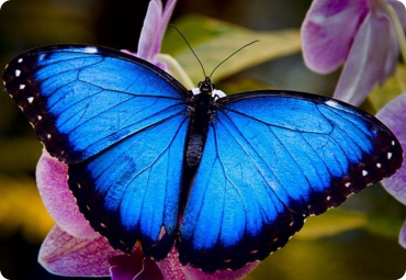 둥근 모서리 이미지